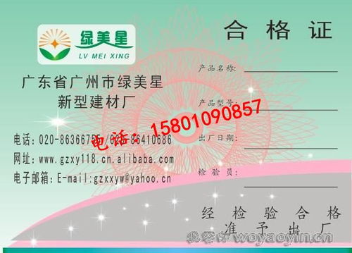 北京網絡技術服務 賦能數字時代的創新引擎